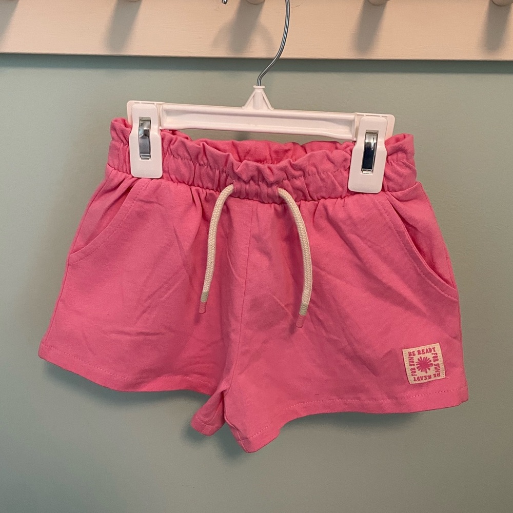 Zara Pink Shorts